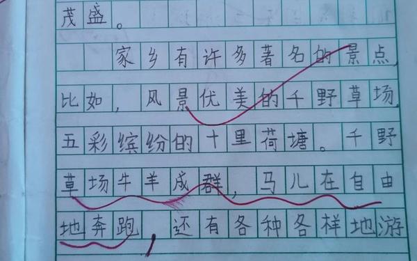 我的家乡100字;我的家乡100字 作文大全