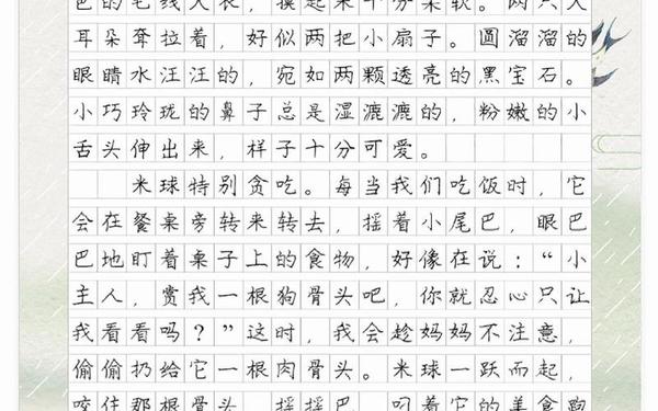 我家的小狗,小狗作文300字优秀作文