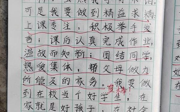开学第一天优秀作文_小学生0分作文