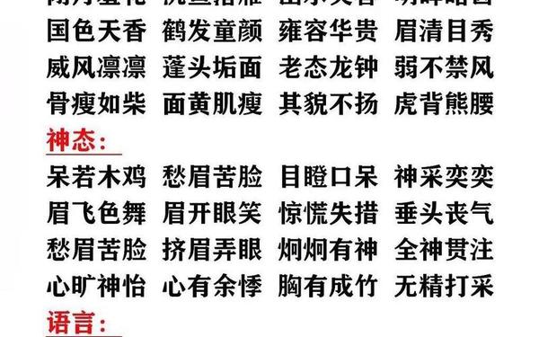 人物外貌描写片段-外貌描写的好词