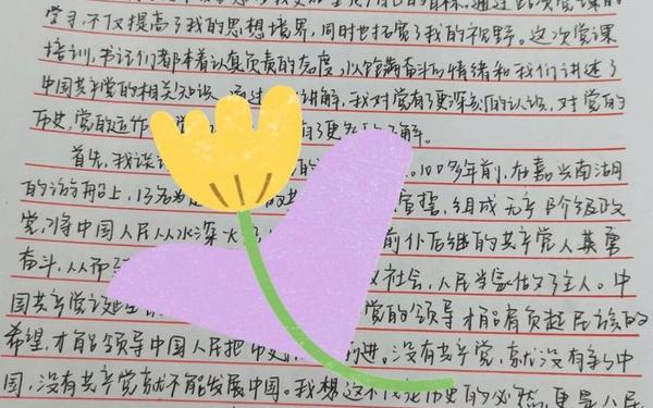 培训心得范文-入党培训心得体会
