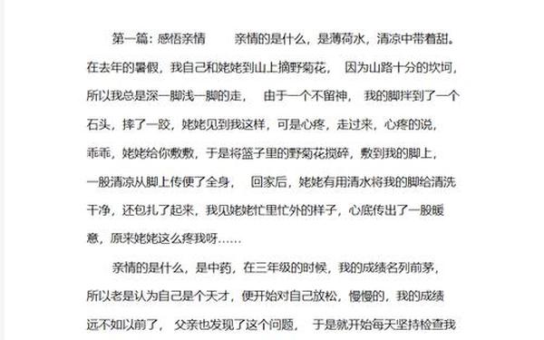 幸福作文500字;亲情优秀作文500