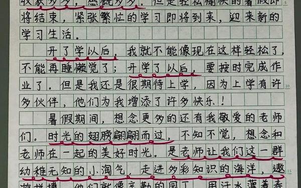 开学了作文300字左右(开学第一天作文50个字)