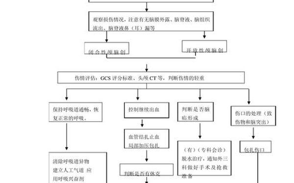 事故应急救援预案、抢救应急预案及流程