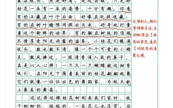 观察日记400字植物;我的植物朋友三年级作文150字左右