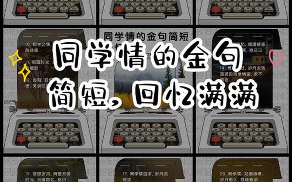 同学情短句八个字,最纯同学情的金句