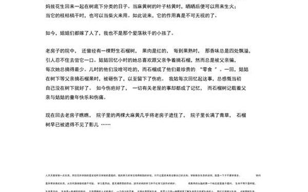 我家的一件珍品,介绍一件老物件作文