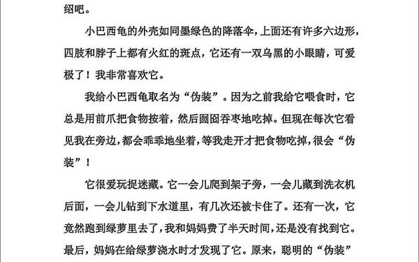 四年级下册语文第四单元作文 五下同步作文