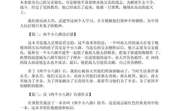 两个小八路读后感(两个小八路读后感600字作文)