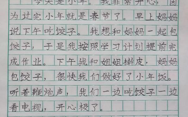 小学80字日记—日记1个字