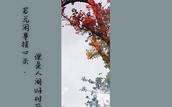 此去经年彼岸花开(此去经年彼岸花开浅亭小说)