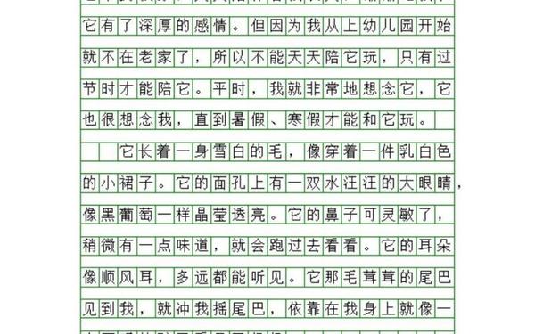 我的动物朋友400字 我独特的内心世界作文