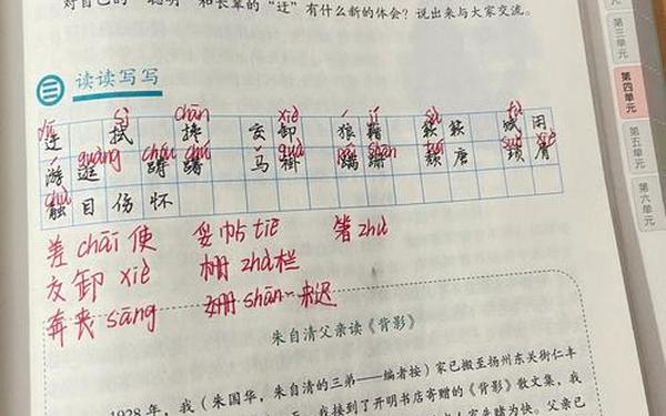 初中语文背影教案(背影朱自清原文) 初中语文背影教案(背影朱自清原文)