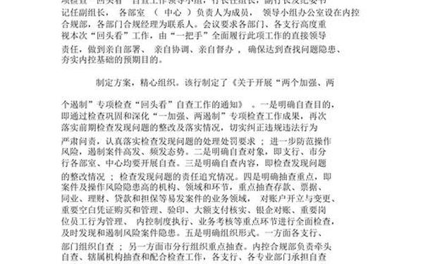 回头看自查报告-回头看情况报告