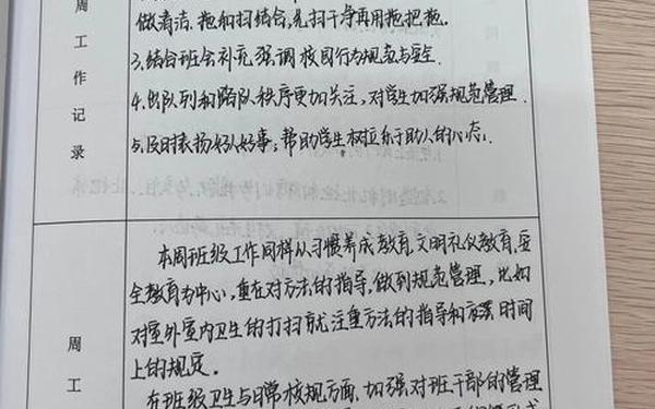 班主任工作记录20篇(班主任工作日志)