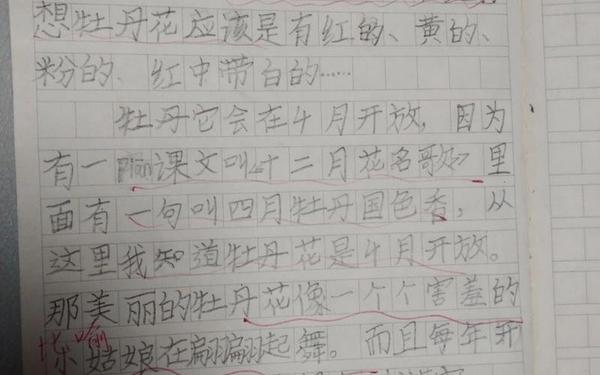 关于花的作文;花的作文350字