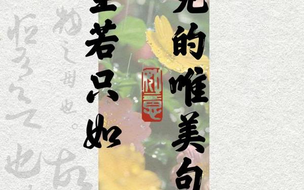 人生若只如初见散文,散文《最美的遇见》