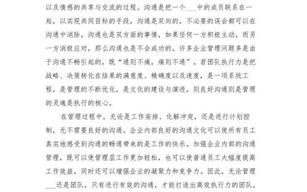 团队执行力(团队执行力简短总结)