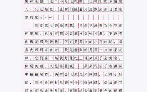 作文《我的家乡》、家乡情怀作文600字