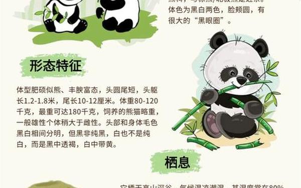 国宝大熊猫的资料—大熊猫资料三年级下册