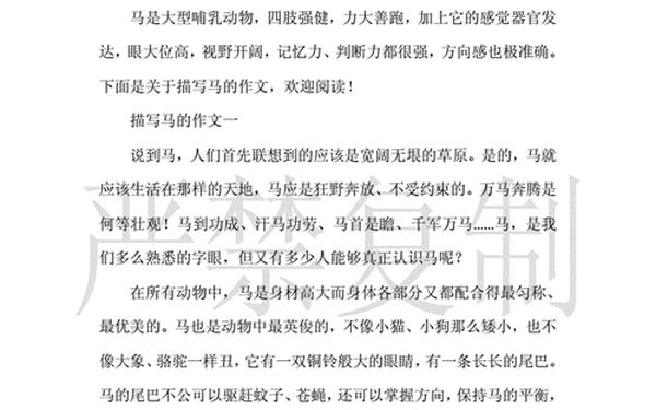 我是一匹马作文400字四年级(一匹出色的马仿写一段话)