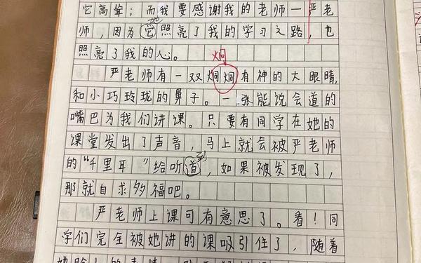 我的老师600字作文—我的班主任作文600字初中生