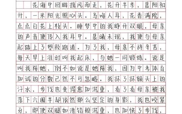 初三作文素材摘抄大全—初三作文素材 她最后的希望是什么