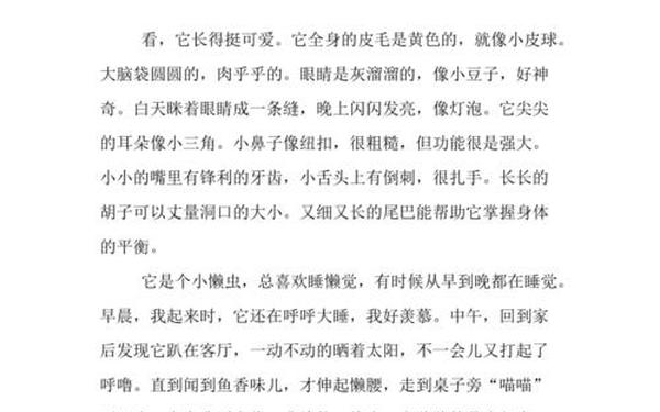 小动物作文400字四年级 我的动物朋友400字小猫