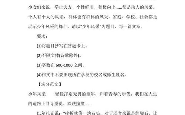 少年风采作文、作文《少年风采》800字左右
