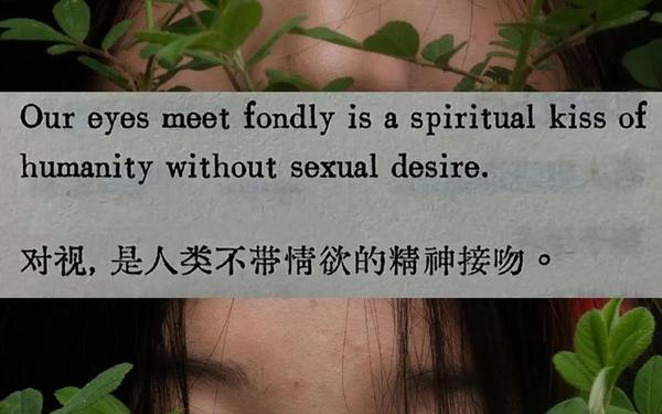 对视阅读答案、凝视对方的眼睛意味什么