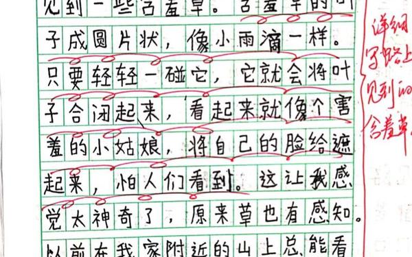 上学路上的风景作文三年级_三年级作文300字