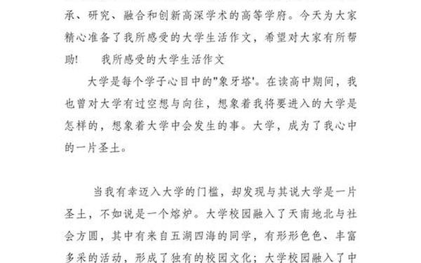 回顾大学生活 大学生活的感悟与体会