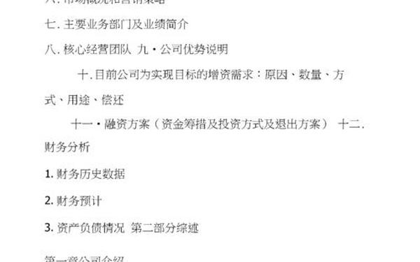融资计划书范本免费_项目融资方案范本