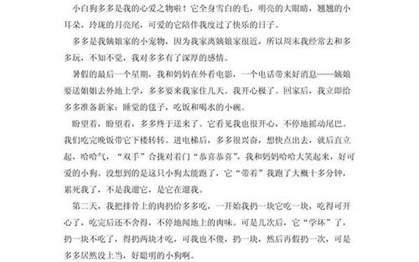 我的心爱之物作文500字五年级_五年级作文有物的500多