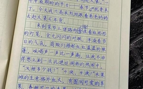 三年级每天一篇日记_一天一句话日记