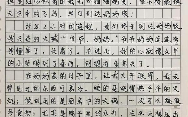 快乐的寒假生活作文—寒假趣事作文450字五年级上册