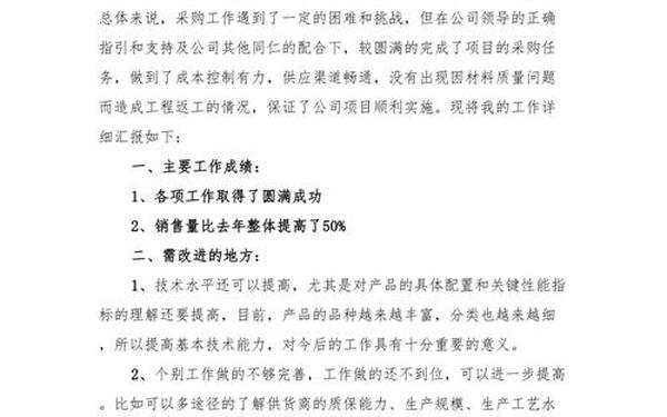 年中总结及下半年计划,销售年终总结及明年计划