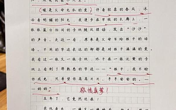 围绕中心意思写作文500字 100000000000字作文
