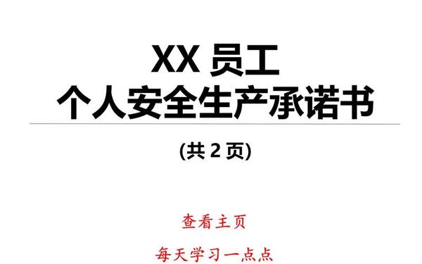 手写个人承诺书 员工安全承诺书