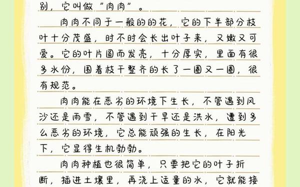 肉多的小作文;肉肉的作文300字