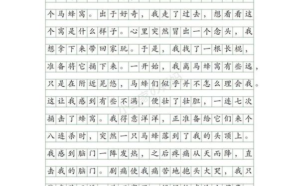 难忘的一件事300字优秀作文小学 难忘的活动450字六年级