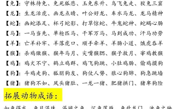 关于十二生肖的成语;生肖的四字词语 关于十二生肖的成语;生肖的四字词语