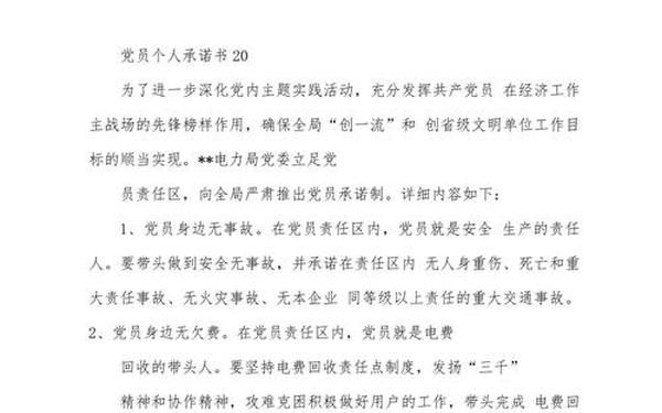 大学生党员承诺书;党员个人承诺书(简短)