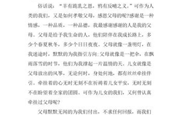 关于孝的作文-《孝》作文450字