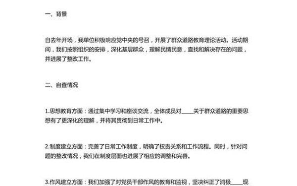 回头看自查报告-回头看情况报告
