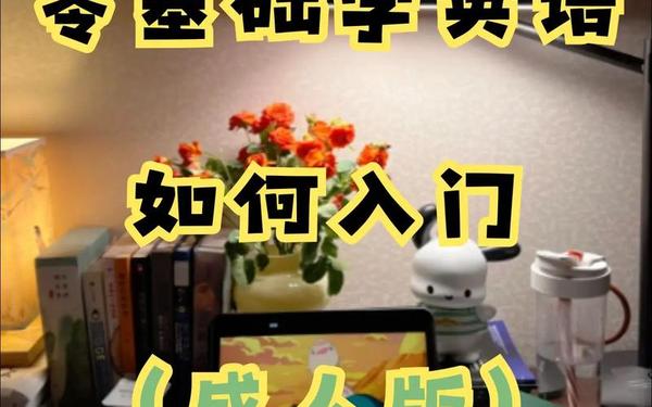成人零基础学英语—英语入门课程视频教程全集免费