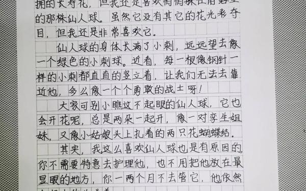 我的植物朋友作文300字、我的植物朋友作文300字以上(三年级)多