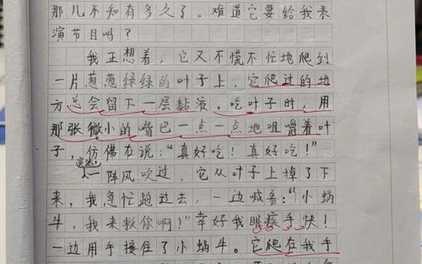 观后感作文400字大全 《夏天的蜗牛》观后感400字怎么写