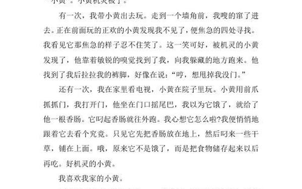 我家的小狗作文300字 我家的狗的作文300字精选40篇