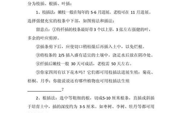 四年级综合实践教案,综合实践四年级下册教案